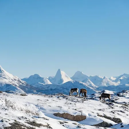 Vakantiehuis Arctic Panorama House *