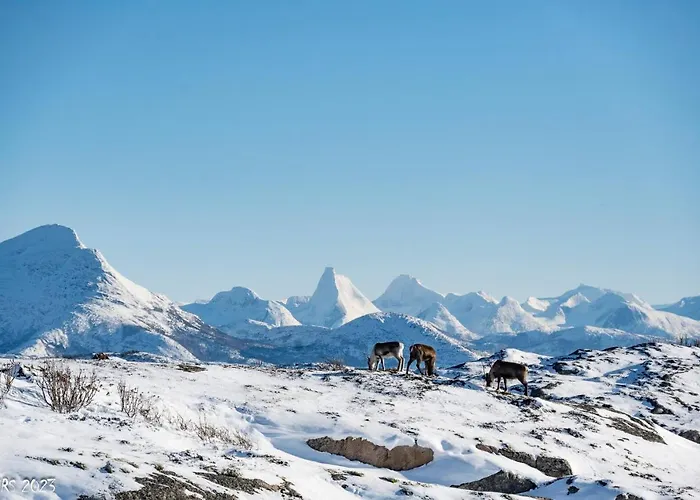 Сasa de vacaciones Arctic Panorama House *