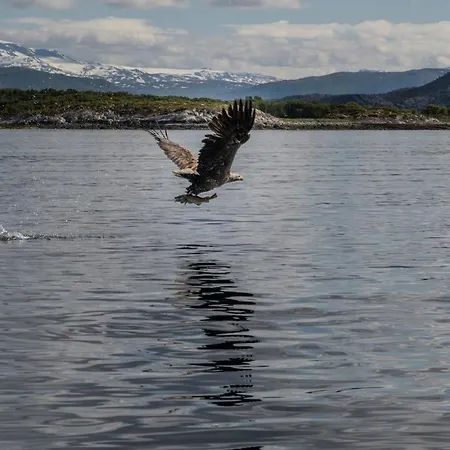 Σπίτι διακοπών Arctic Panorama House Lodingen