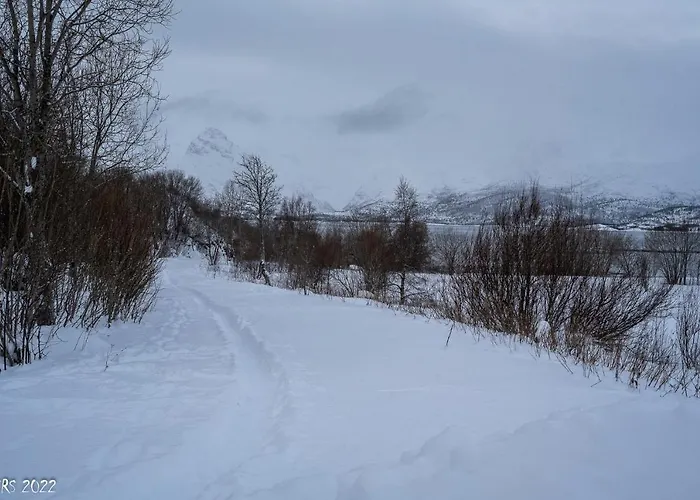 Arctic Panorama House Nyaraló